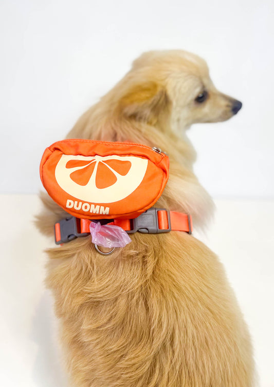Coleira Laranja com mochilinha