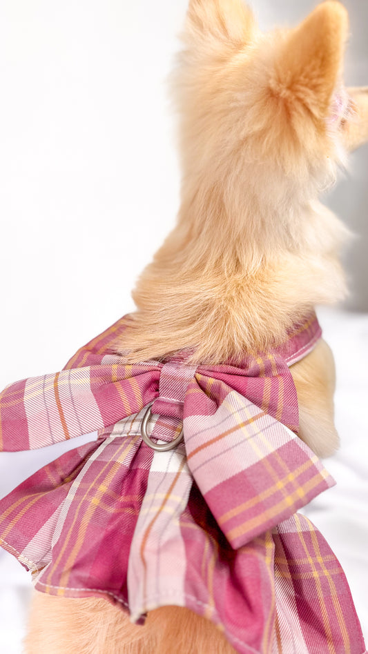 Coleira Vestido com Laço