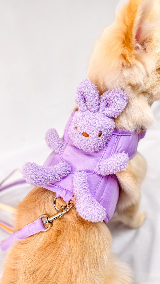 Coleira Comfort Premium