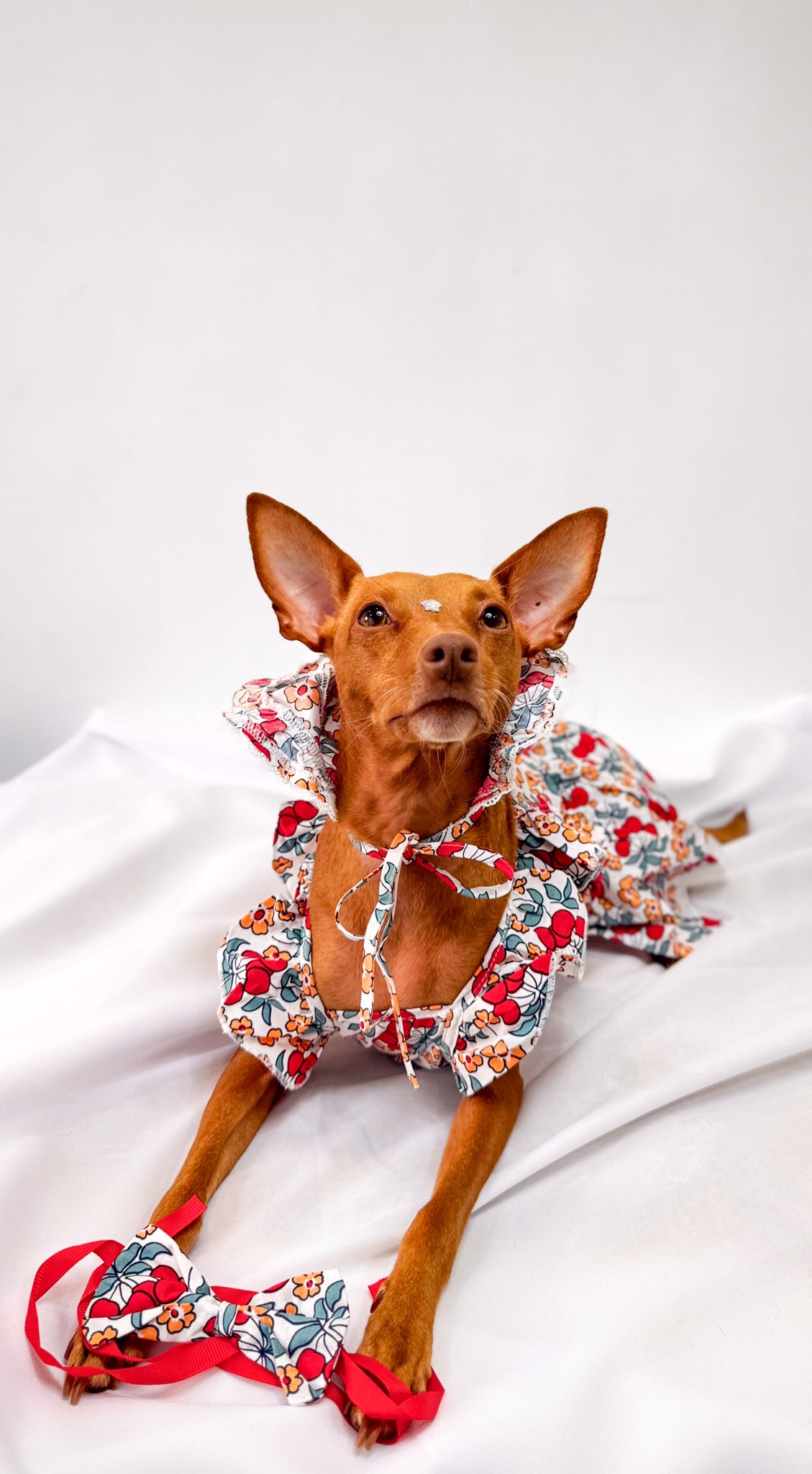 Vestido Floral com Chapéu