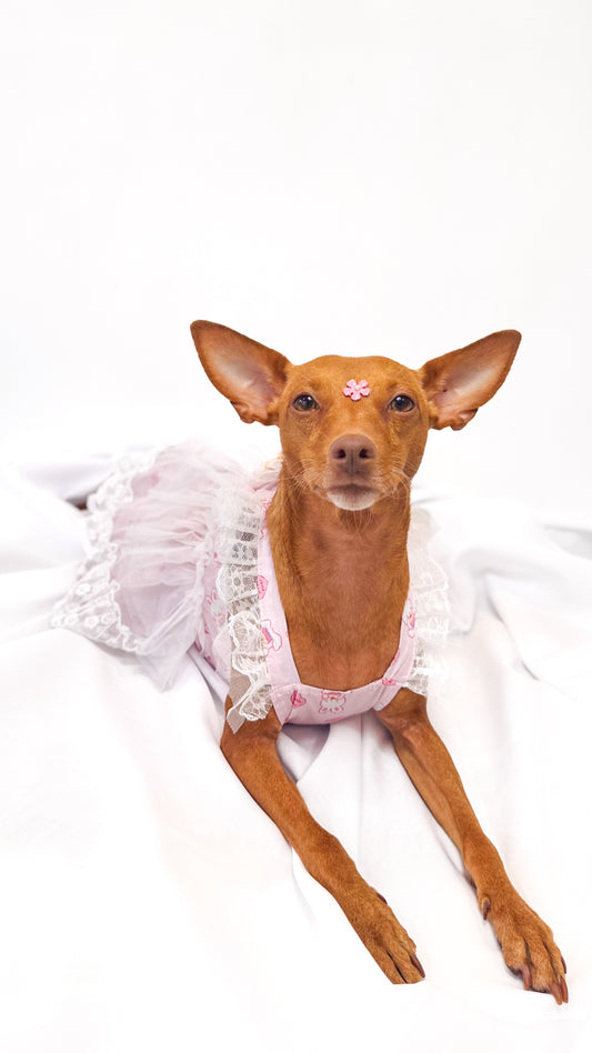 Vestido Rosa de Tutu