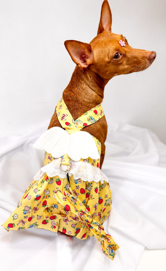 Vestido Estilo Anjinho com Asas e Entrada para Guia