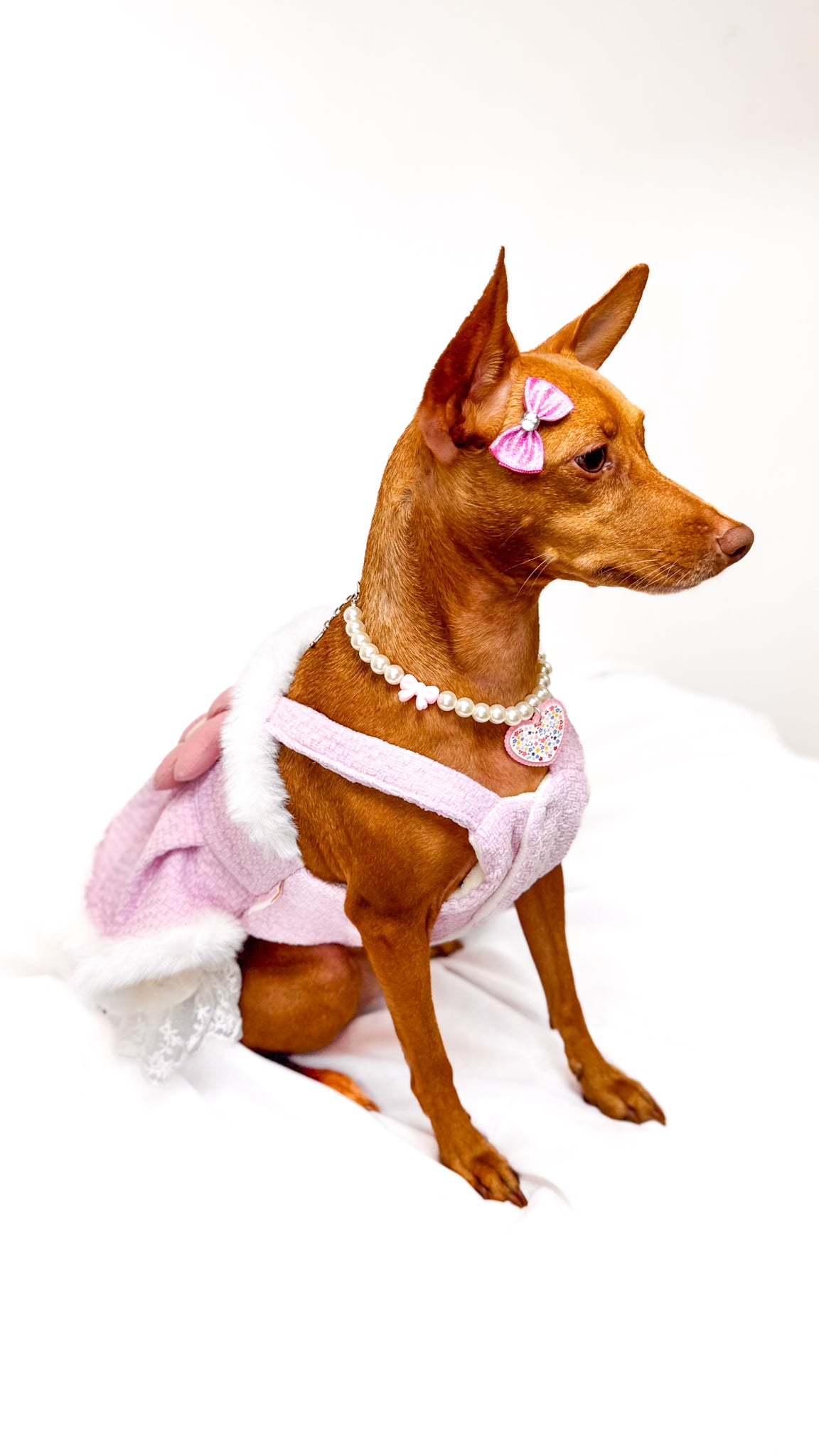 Vestido Rosa com Flor – Guia Integrada
