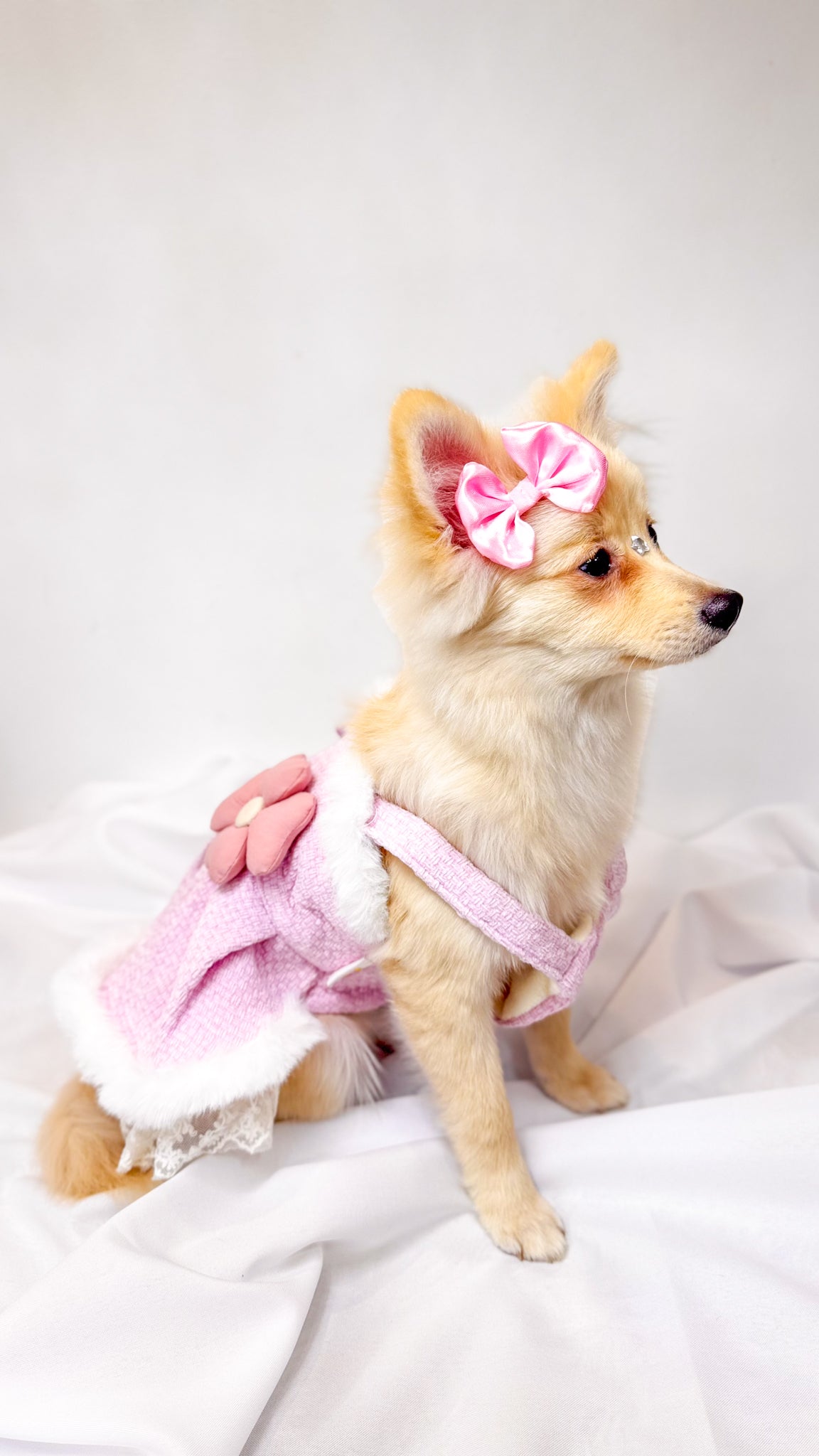 Vestido Rosa com Flor – Guia Integrada