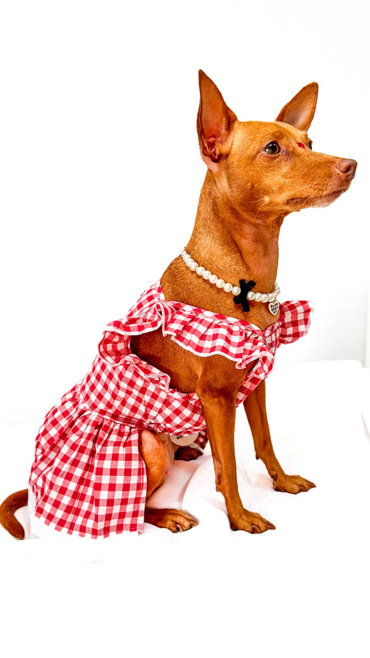 Vestido Festa Junina + Brindes e Mimos