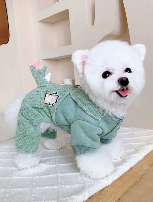 Roupa Estilo Dinossauro com Entrada para Guia