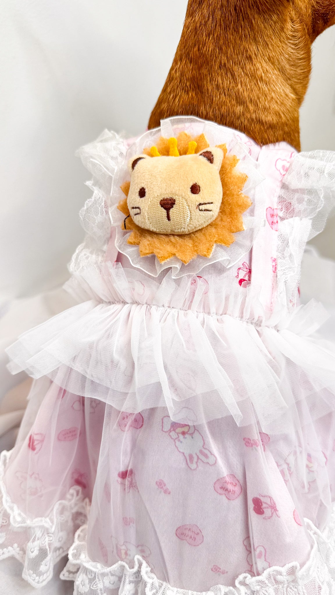 Vestido Rosa de Tutu