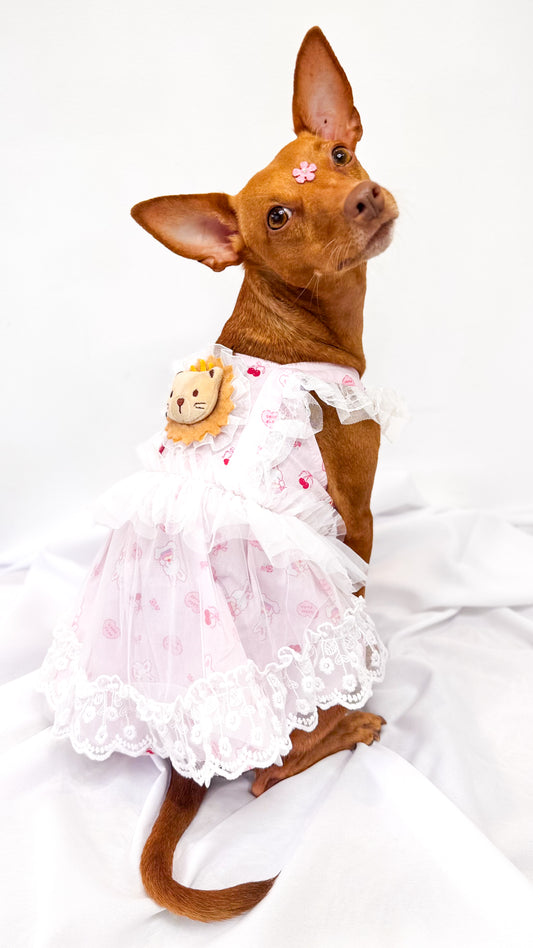 Vestido Rosa de Tutu