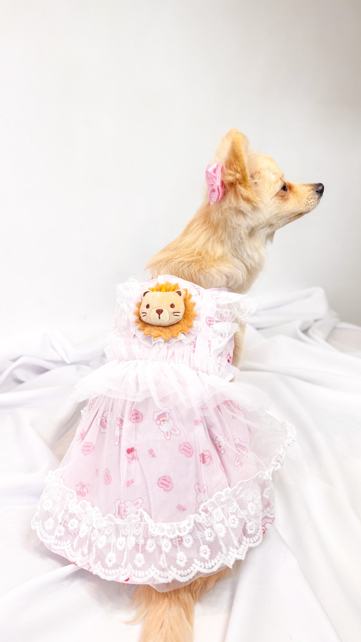 Vestido Rosa de Tutu