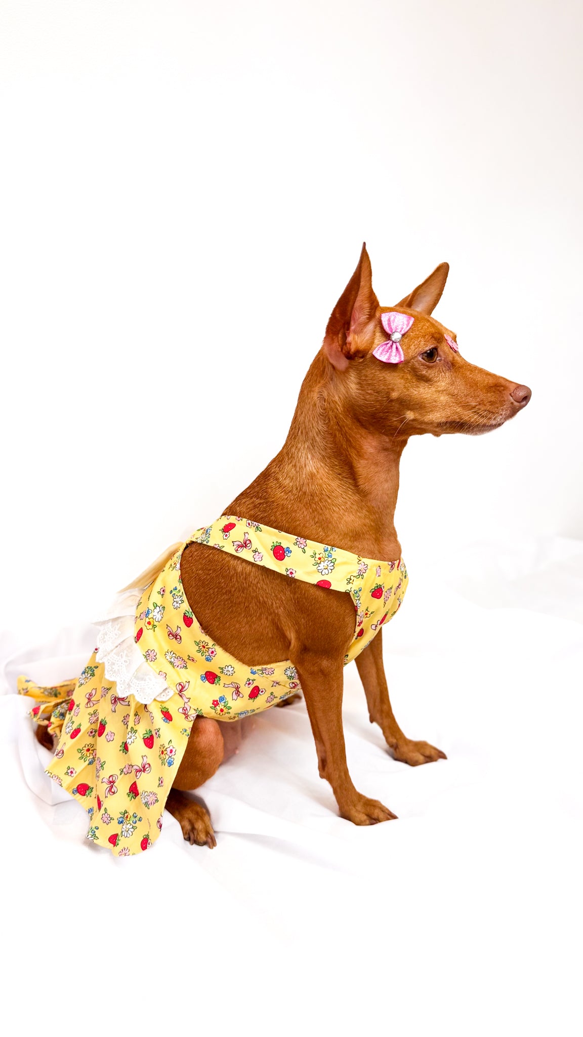 Vestido Estilo Anjinho com Asas e Entrada para Guia
