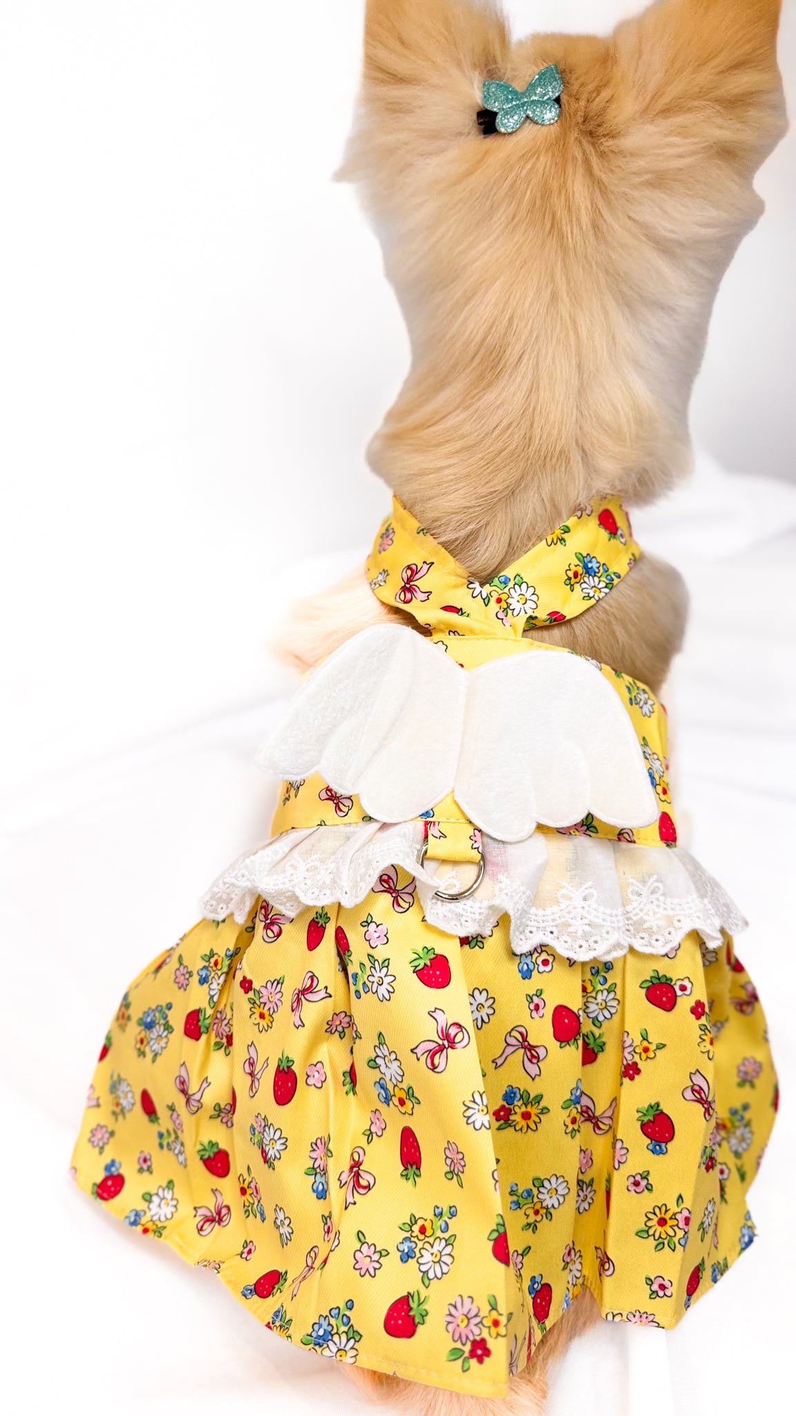 Vestido Estilo Anjinho com Asas e Entrada para Guia