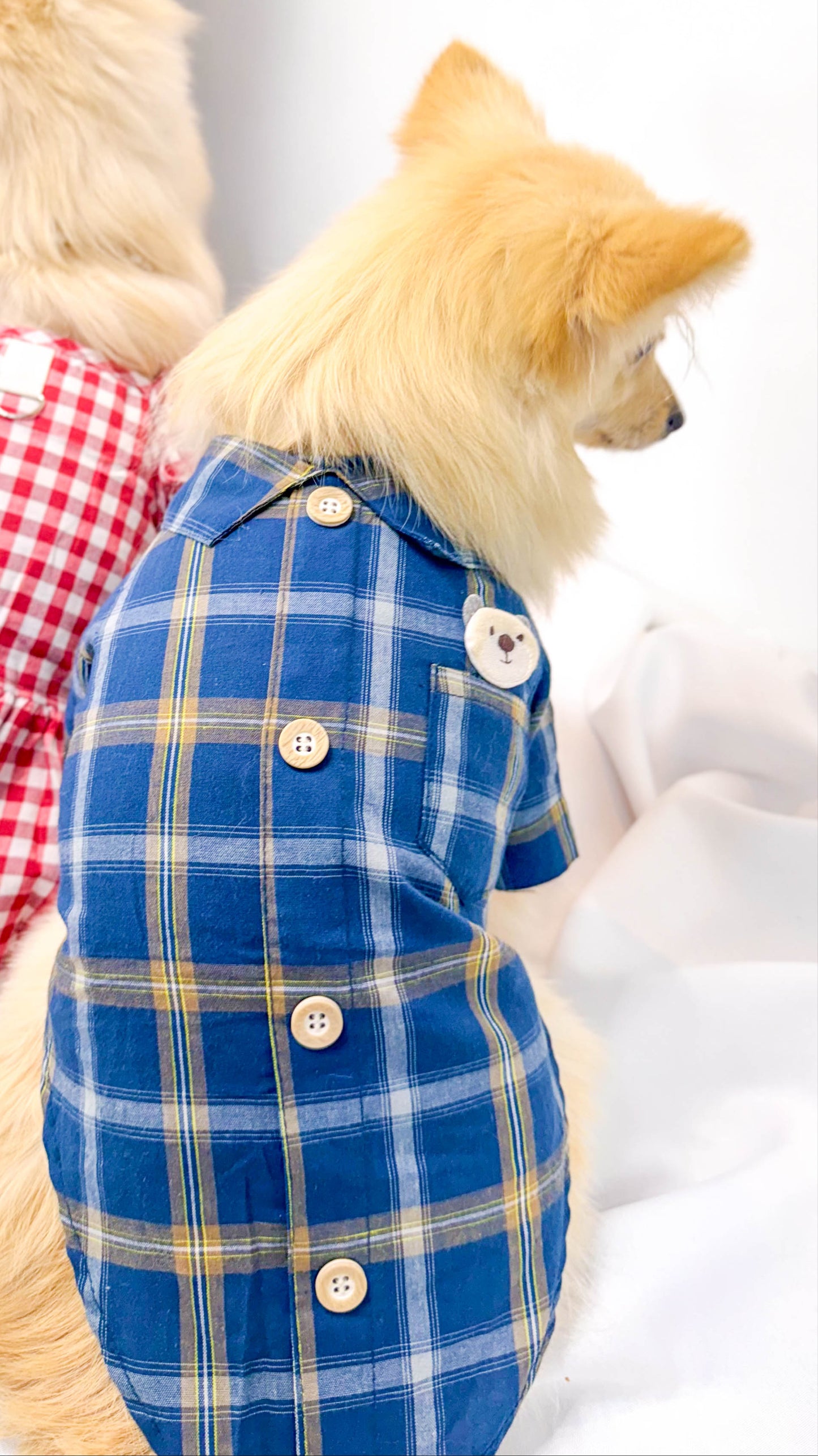 Camisa Xadrez Junina