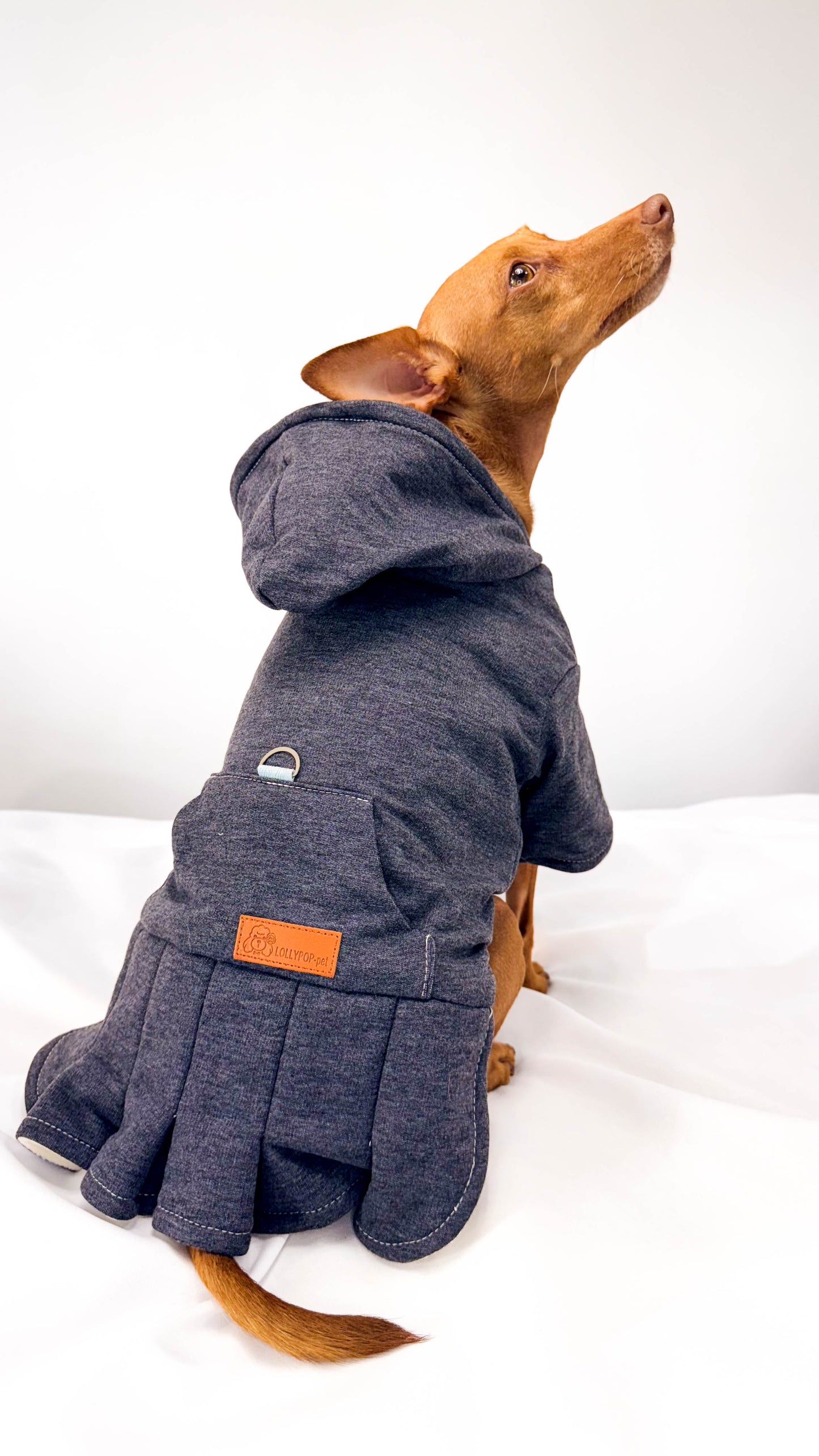 Roupa de Inverno com Gorro e Entrada para Guia