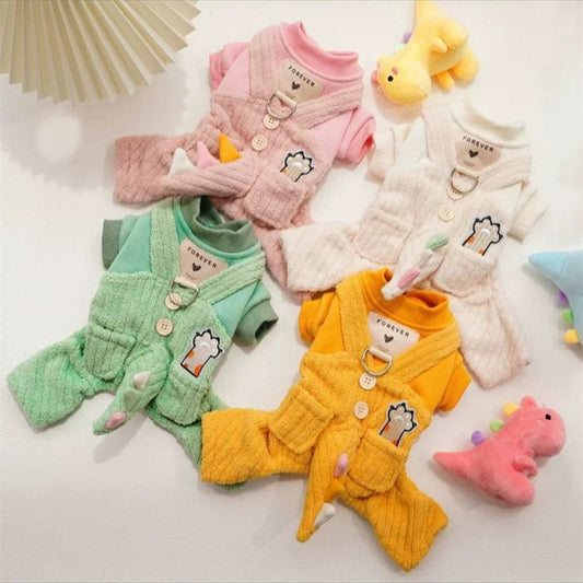 Roupa Estilo Dinossauro com Entrada para Guia