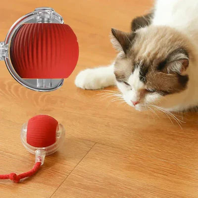Bolinha Interativa com sensor Peludita